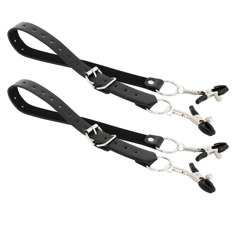 BDSM Nipple & Labia Clamp Harness