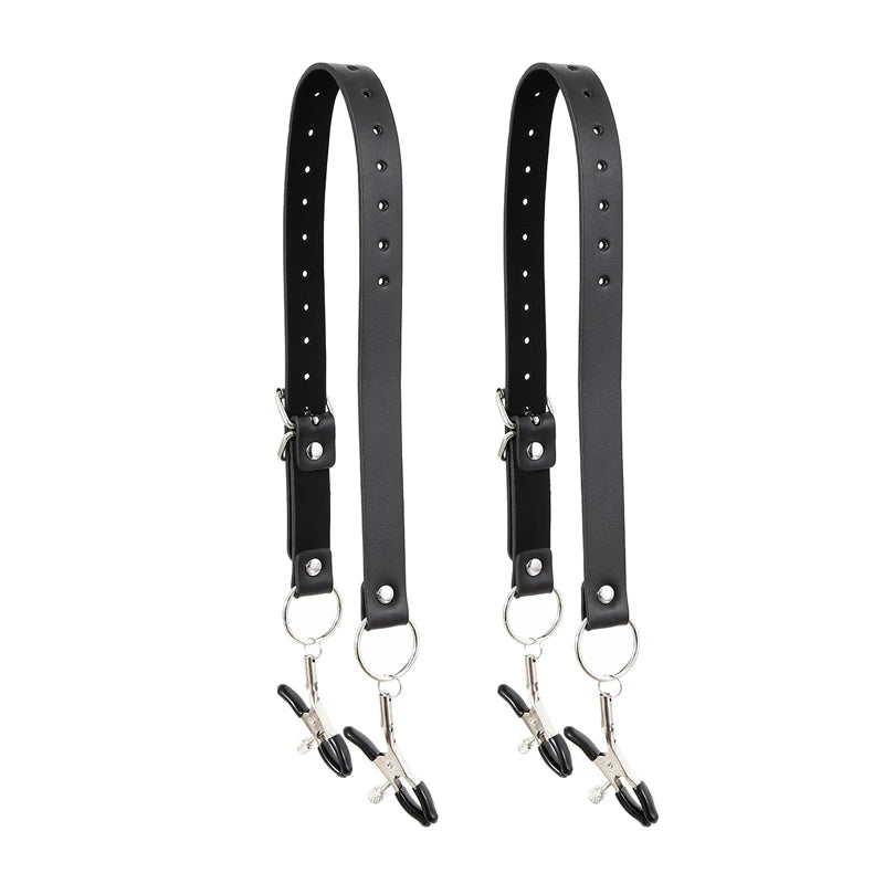 BDSM Nipple & Labia Clamp Harness