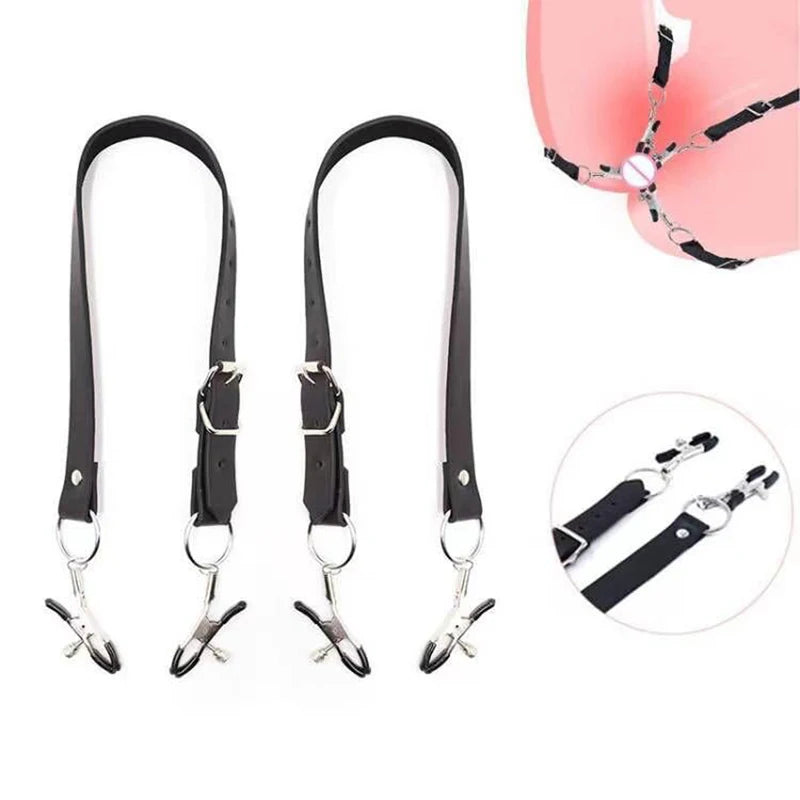 BDSM Nipple & Labia Clamp Harness